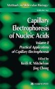 Capillary Electrophoresis of Nucleic Acids