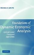 Foundations of Dynamic Economic Analysis