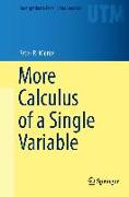 More Calculus of a Single Variable