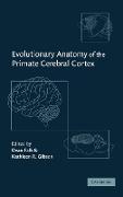 Evolutionary Anatomy of the Primate Cerebral Cortex