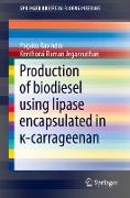 Production of biodiesel using lipase encapsulated in ¿-carrageenan