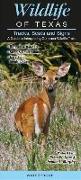 Wildlife of Texas Tracks Scats and Signs: A Guide to Interpreting Common Wildlife Trails