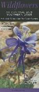 Wildflowers of Central & Southern Utah: A Guide to Common & Rare Native Species