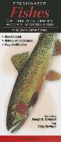 Freshwater Fishes of the Southern Rocky Mountains: A Guide to Game Fishes