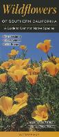 Wildflowers of Southern California: A Guide to Common Native Species