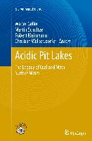 Acidic Pit Lakes