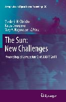 The Sun: New Challenges