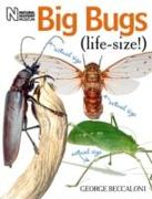 Big Bugs Life-Size