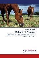 Welfare of Equines