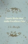 Exotic Birds That Make Excellent Pets