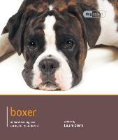 Boxer