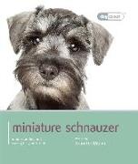 Miniature Schnauzer