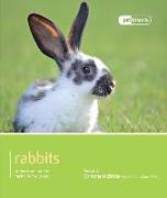 Rabbit - Pet Friendly