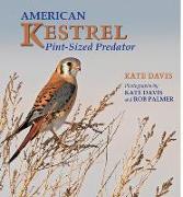 American Kestrel