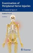 Examination of Peripheral Nerve Injuries: An Anatomical Approach