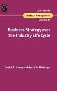 Business Strategy over the Industry Lifecycle