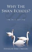 Why The Swan Echoes?