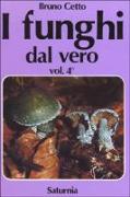 I funghi dal vero