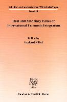 Real and Monetary Issues of International Economic Integration