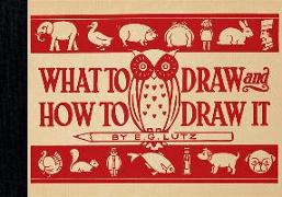 What to Draw and How to Draw It