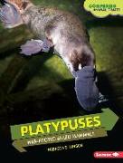 Platypuses: Web-Footed Billed Mammals