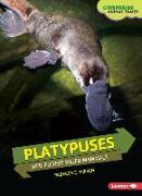 Platypuses: Web-Footed Billed Mammals