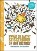 The Big History Timeline Stickerbook