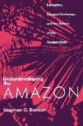 Underdeveloping the Amazon