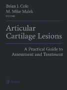 Articular Cartilage Lesions