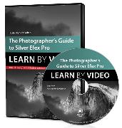 Photographer's Guide to Silver Efex Pro, The