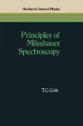 Principles of Mössbauer Spectroscopy