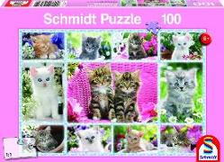 Katzenbabies. Puzzle 100 Teile