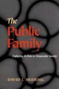 The Public Family: Exploring Its Role in Democratic Societies