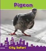 Pigeon