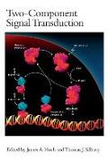 Two-Component Signal Transduction