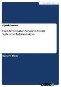 High-Performance Persistent Storage System for BigData Analysis