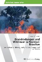 Brandrodungen und Wildfeuer in Nordost-Brasilien