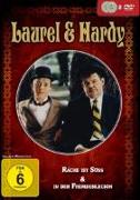 Laurel & Hardy-Box (2 Filme)