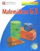 Matematicas 6.3