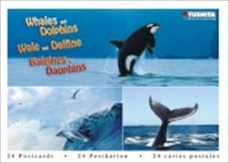 Whales and Dolphins - Wale Delfine