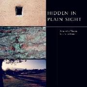 Hidden in Plain Sight: Moments of Beauty