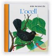 L'ocell