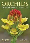 Orchids of South Africa