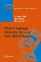 Efficient Topology Estimation for Large Scale Optical Mapping