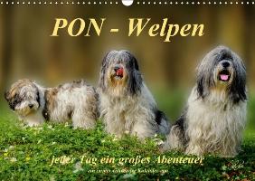 PON - Welpen, jeder Tag ein großes Abenteuer / Geburtstagskalender (Wandkalender immerwährend DIN A3 quer)