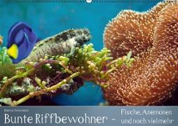 Bunte Riffbewohner - Fische, Anemonen und noch viel mehr (Wandkalender immerwährend DIN A2 quer)