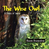 The Wise Owl: A Story of Jesus