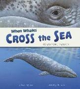 When Whales Cross the Sea: The Gray Whale Migration