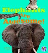 Elephants Are Awesome!