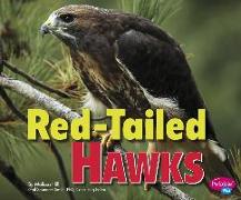 Red-Tailed Hawks